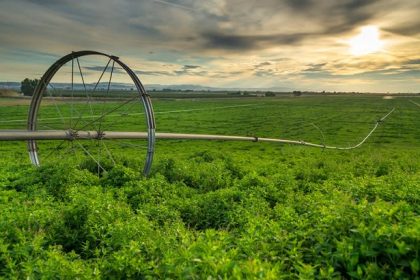 research-and-development-at-young-living's-farms