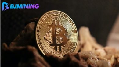 earn-$7,580+-a-day!-bjmining-bitcoin-(btc)-cloud-mining-guide-is-here!