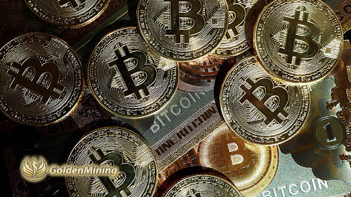 invest-in-goldenmining-and-start-a-btc-mining-rig,-earning-$9,300-daily.