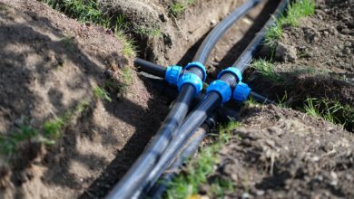 what-murrieta-homeowners-should-do-when-a-sewer-line-fails