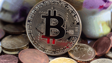 moonvember-momentum:-top-6-coins-&-the-best-presale-crypto-blazpay-leads-the-pack-for-2025